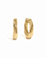 textured oval gold hoops on white background