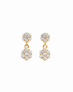 Closeup image flower charm earrings on white background