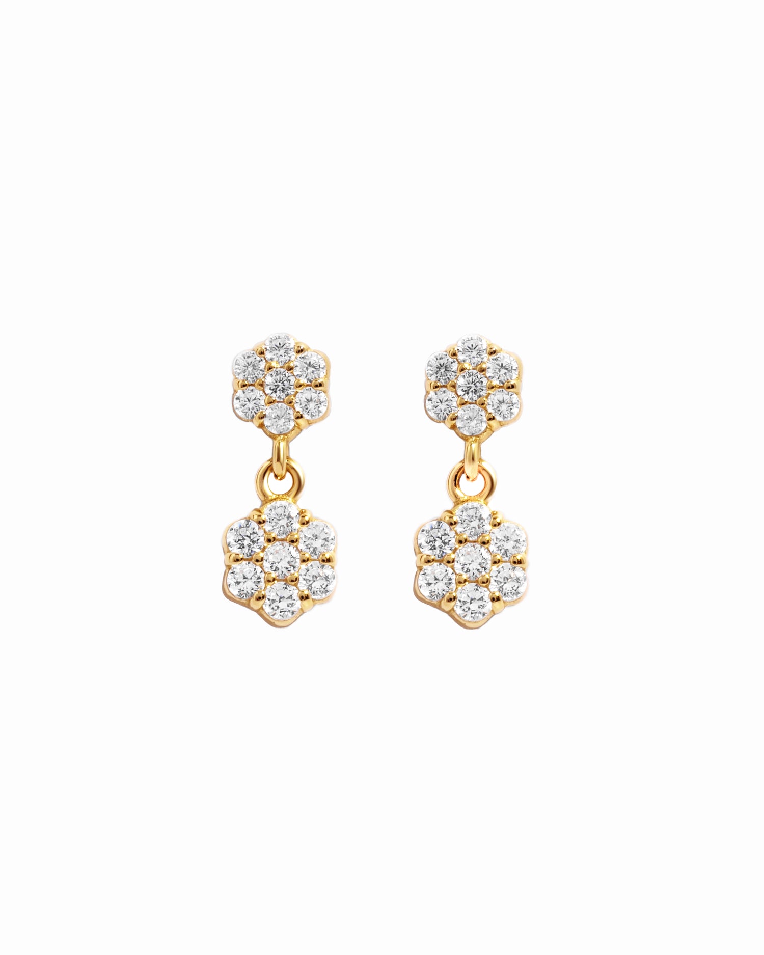 Closeup image flower charm earrings on white background
