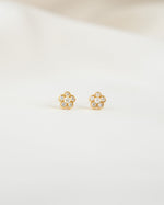 Closeup image of gold small stud earrings with a flower earring design on a white background