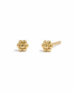 Gold tiny flower stud earrings from Sami Jewels on a white background, showcasing delicate floral design and small size.