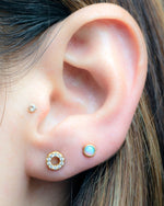 Model wearing gold circle and opal studs