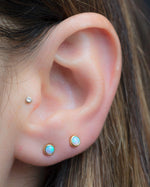 Model wearing two gold blue opal stud earrings